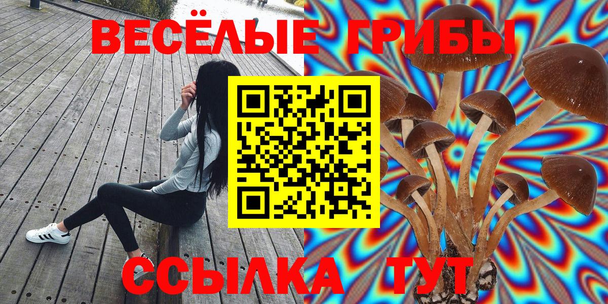Самара  Псилоцибиновые грибы мухоморы  Вход с VPN 