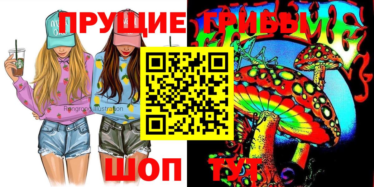Псилоцибиновые грибы Psilocybe Самара